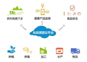酒類二維碼防偽溯源功能的優勢及其與社會經濟咨詢服務的關聯